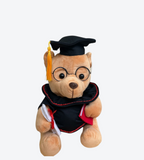 Peluche Oso Graduado c/Toga y Anteojos 10"